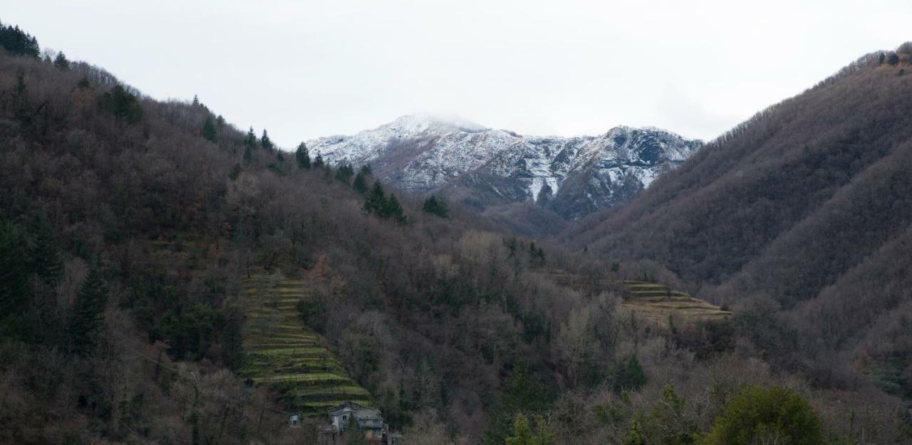 Casa Della Posta Apartment Borzonasca Bagian luar foto